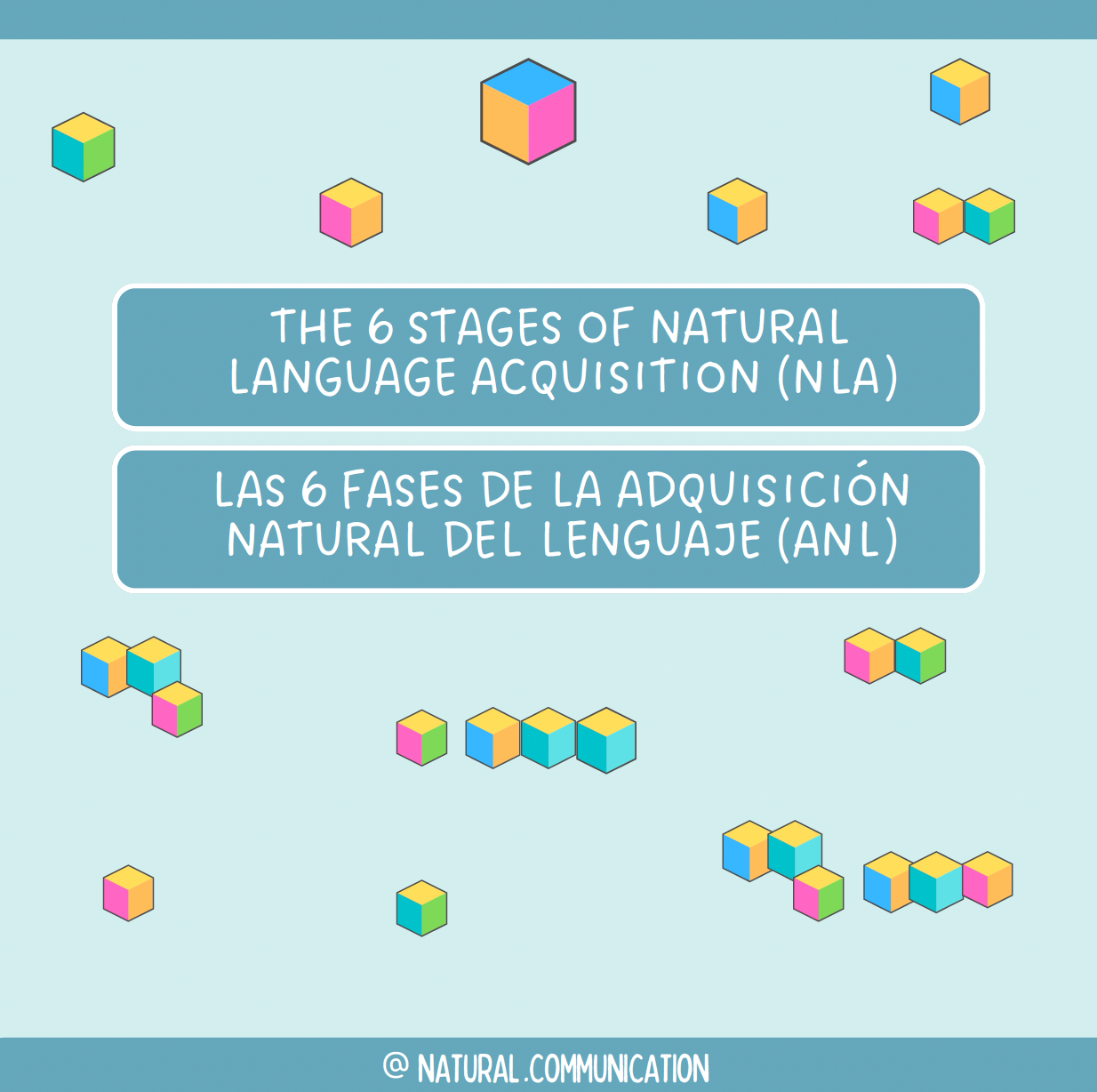 6 Stages of NLA / 6 fases de la ANL